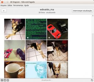 Como instalar o baixador de Instagram 4K Stogram no Linux