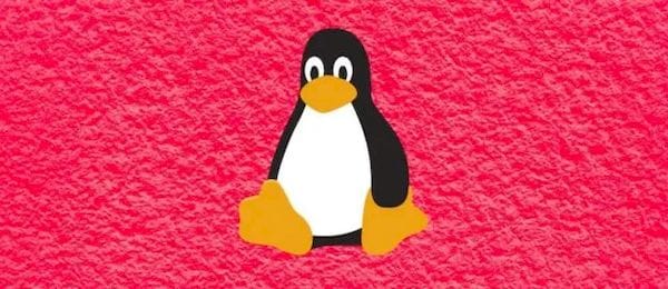 Linux 5.10 rc1 LTS lançado com o bug de 2038 corrigido para o ano de 2486