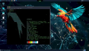 Parrot OS 6.1 lançado com melhor suporte ao Raspberry Pi 5