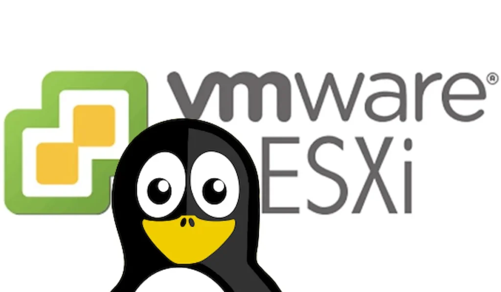 Nova versão do Play ransomware Linux mira VMs VMware ESXi