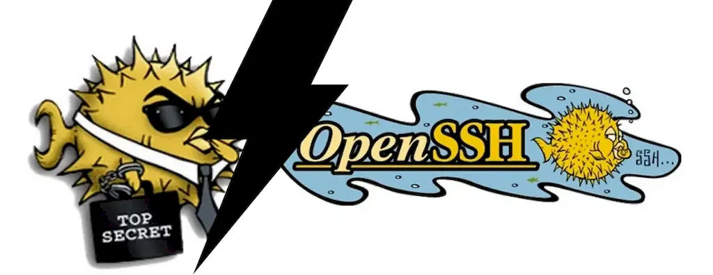 OpenSSH se dividiu em binário e autenticador