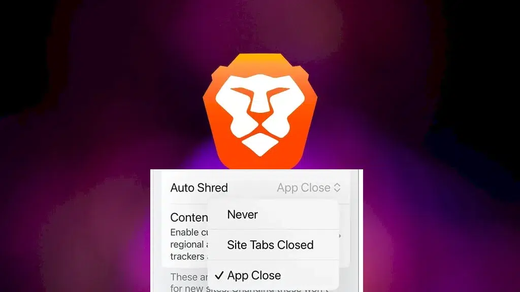 Brave no iOS agora permite para limpar dados específicos de site