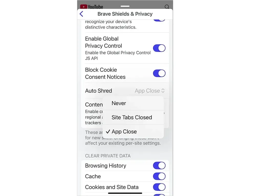 Brave no iOS agora permite para limpar dados específicos de site