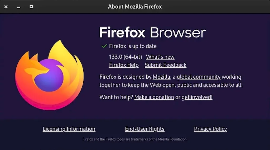 Firefox 133 já está disponível para download