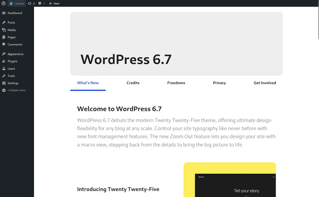 WordPress 6.7 lançado com o tema Twenty Twenty-Five, e mais