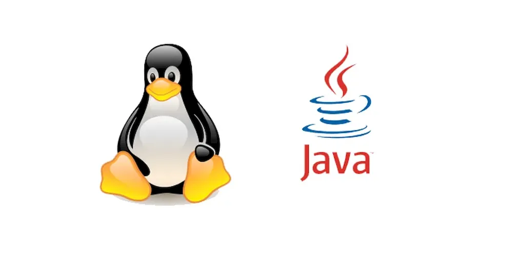 Java no Linux: A Revolução no Desenvolvimento de Software